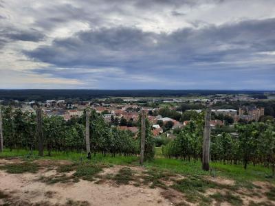 BZENEC