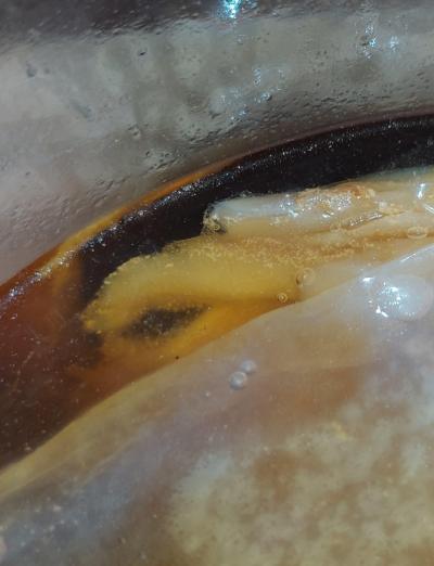 Alternativní léčení | Kombucha