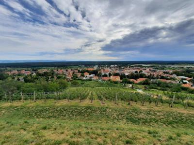 BZENEC