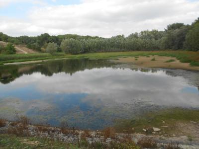 HUSTOPEČE