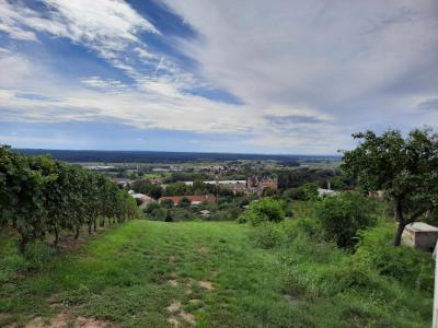 BZENEC