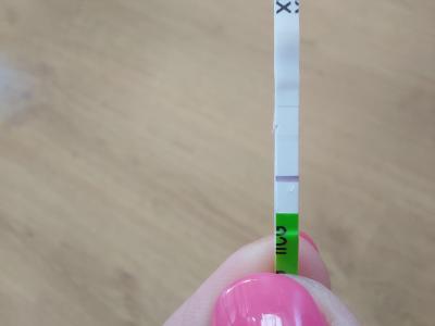 Těhotenství | Těhotenský test,jsem v tom nebo ne?? Nepoznám to