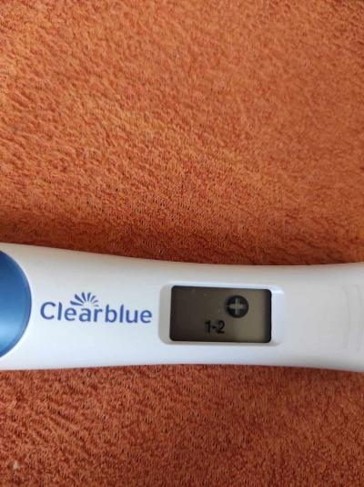 Centra asistované reprodukce | Ivf jaro 2022