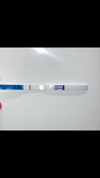 Snažení | Test dr max duch na testu nazory