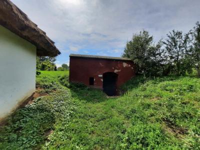 SKANZEN
