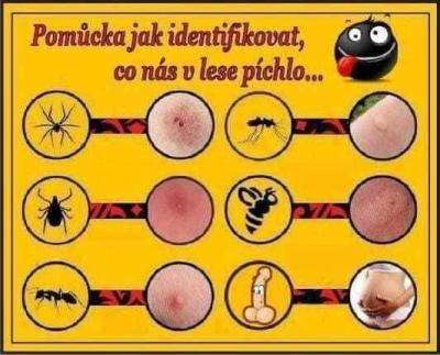 Co nás píchlo?
