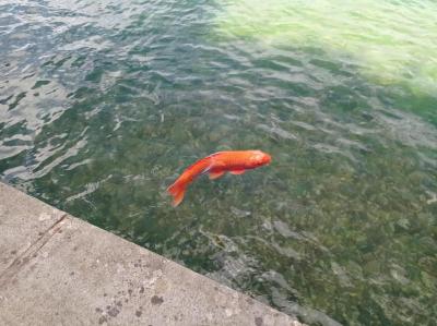 Valdštejnská zahrada