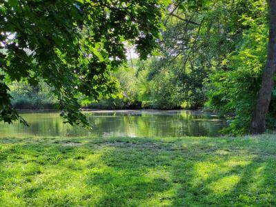 Rozhledna a Park Cibulka