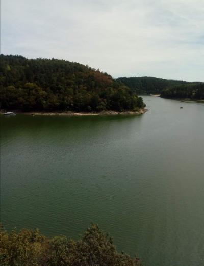 Zvíkov