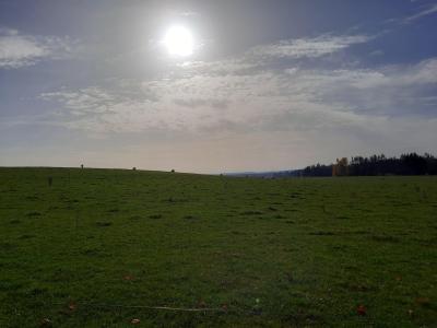 Procházka