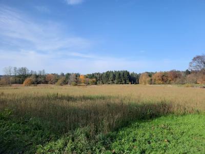 Procházka