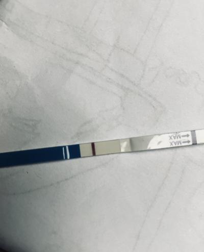 Testování a těhotenský test | Testování listopad 2022