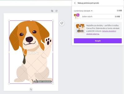 Technologie, mobily, internet | Canva ci Canva Pro