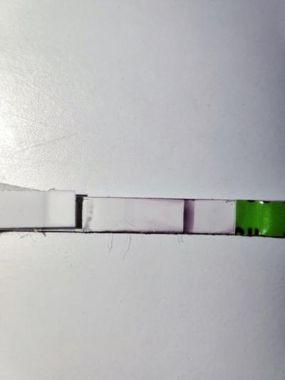 Testování a těhotenský test | TT 5 dni pred ms