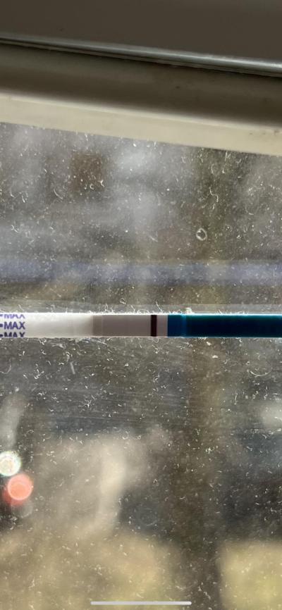 Testování a těhotenský test | Je to duch nebo ryska?