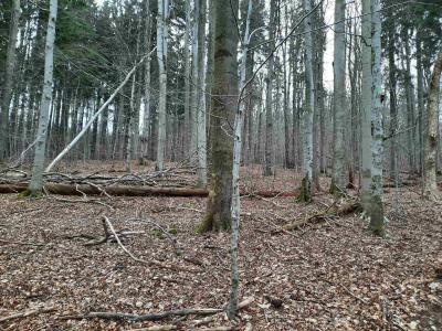 CIKHÁJ