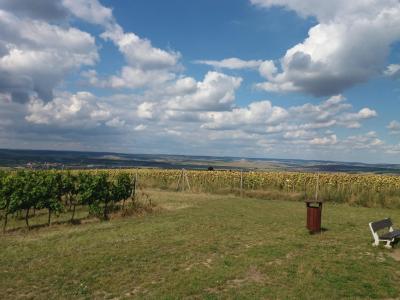 KOBYLÍ