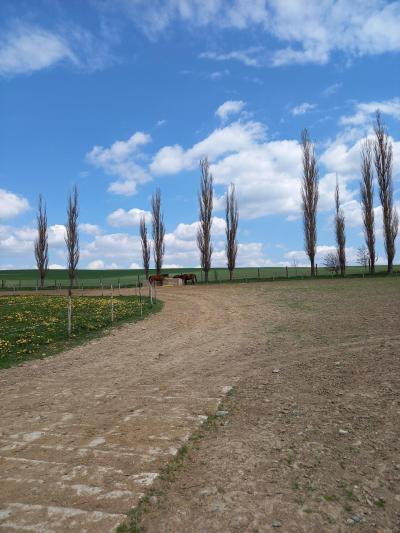 Farma Loděnice