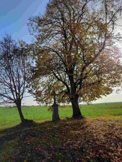 Procházka