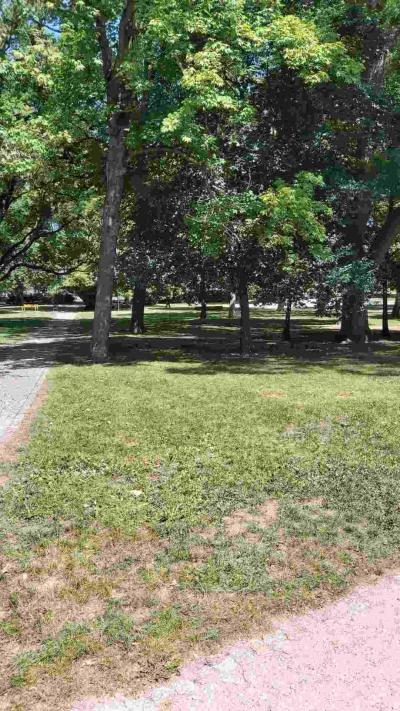 Park 