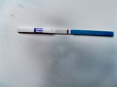 Testování a těhotenský test | MS o 7 dřív a duch na testu