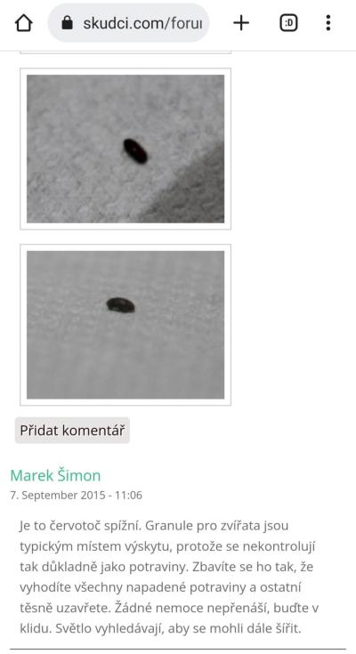 Domácnost | Minibroučci v domácnosti
