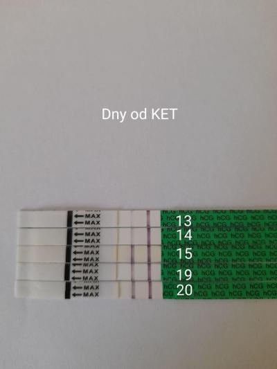 Testování a těhotenský test | Je šance? KET