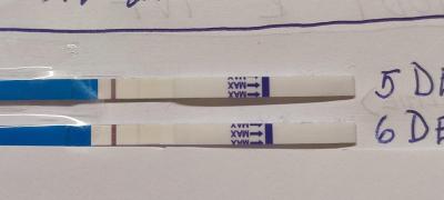 Centra asistované reprodukce | IVF leden 2022