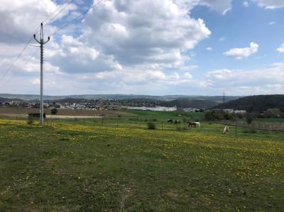 Ranč u zrzavé studánky