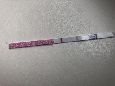 Testování a těhotenský test | Těhotenský test,vidíte ducha?