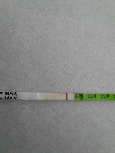 Testování a těhotenský test | Testování, nechápu...