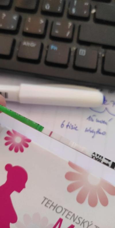 Testování a těhotenský test | Těhotenský test GS mamatest 10