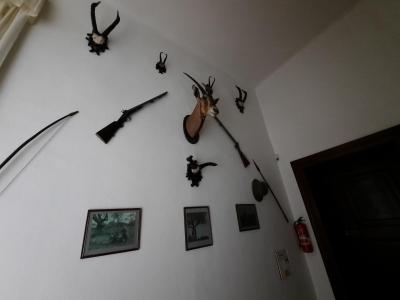ŠTERNBERK