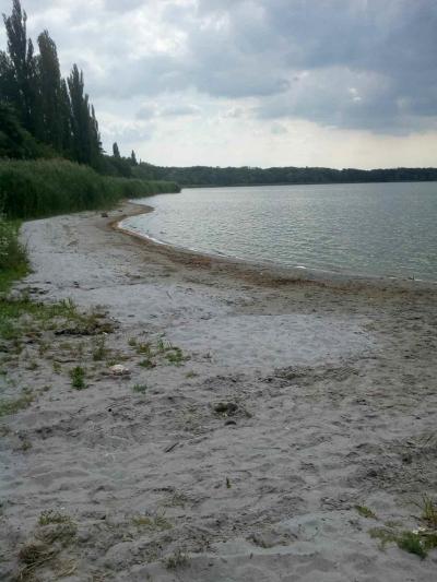 rybník