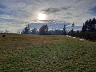PROCHÁZKA 31.12.2022