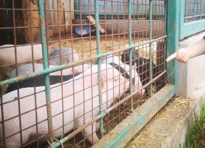 Zvířátkov Olešná