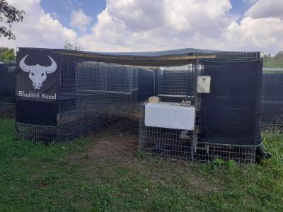 Bludiště Kozel