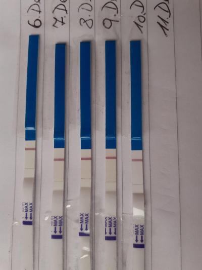 Centra asistované reprodukce | ET/KET Duben 2022