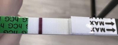 Testování a těhotenský test | ČEKÁNÍ NA TESTOVÁNÍ