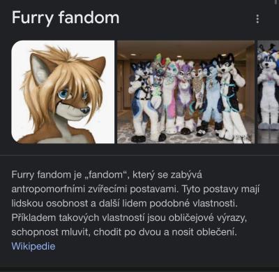 Tady máte něco o furry fandomu