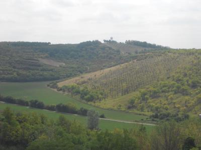 HUSTOPEČE
