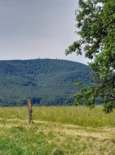 Kelčský Javorník