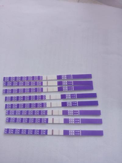 Poslední 11dpo