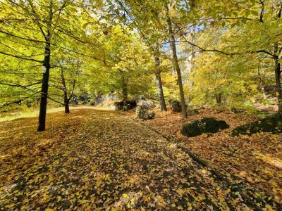 PETŘÍN