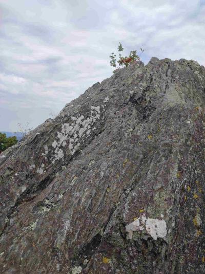 Stříbrník