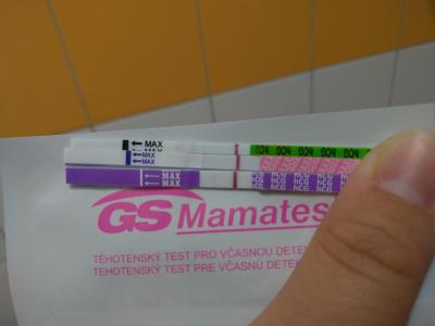 Testování a těhotenský test | Stále pozitivní Mamatest, ostatní TT negativní