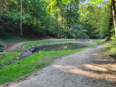 Rozhledna a Park Cibulka