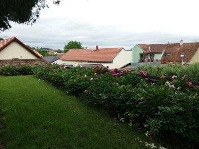 LYSICE