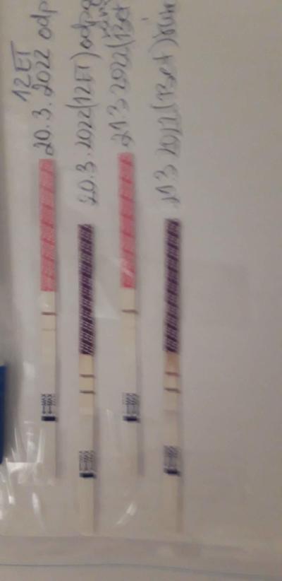 Centra asistované reprodukce | Ivf jaro 2022