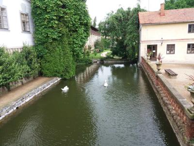 LYSICE